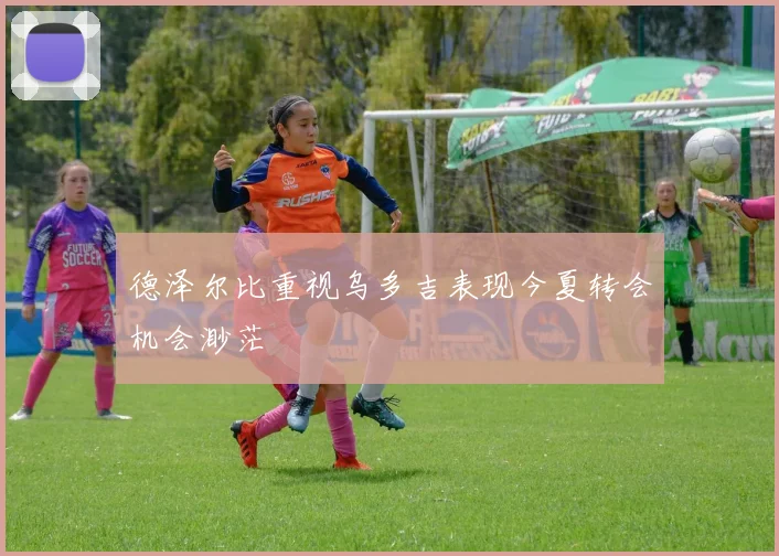 德泽尔比重视乌多吉表现今夏转会机会渺茫